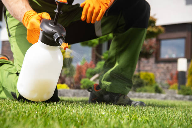 Best Affordable Pest Control Services  in Jefferson, GA