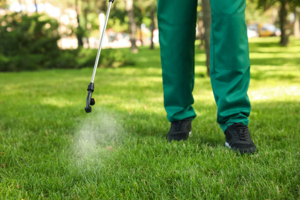Best Exterminator Services  in Jefferson, GA