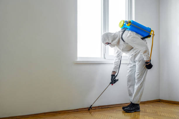 Best Pest Removal Services  in Jefferson, GA