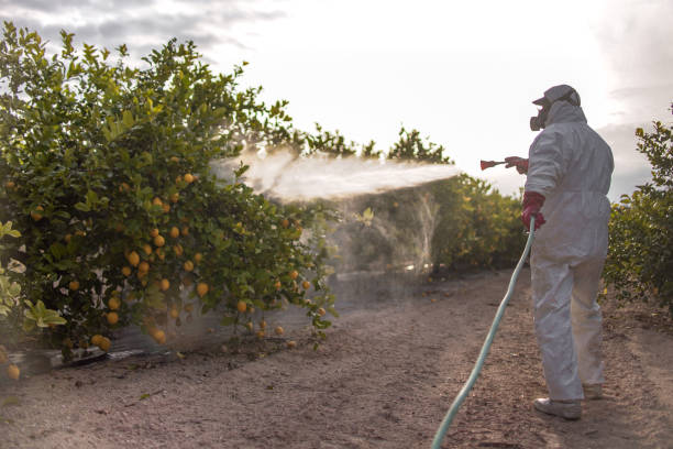 Best Affordable Pest Control Services  in Jefferson, GA