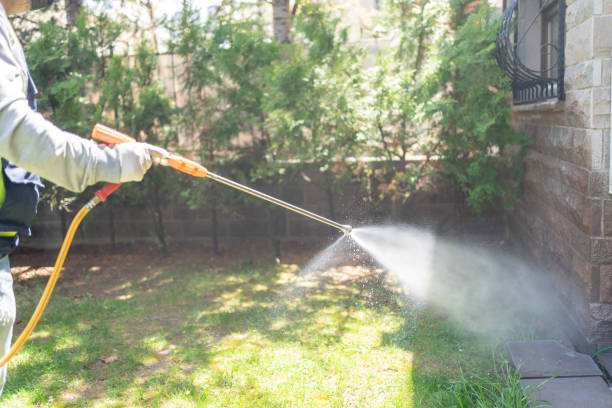 Best Pest Control for Businesses  in Jefferson, GA