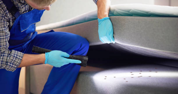 Best Affordable Exterminators  in Jefferson, GA