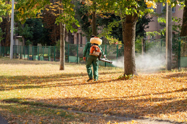 Professional Pest Control in Jefferson, GA