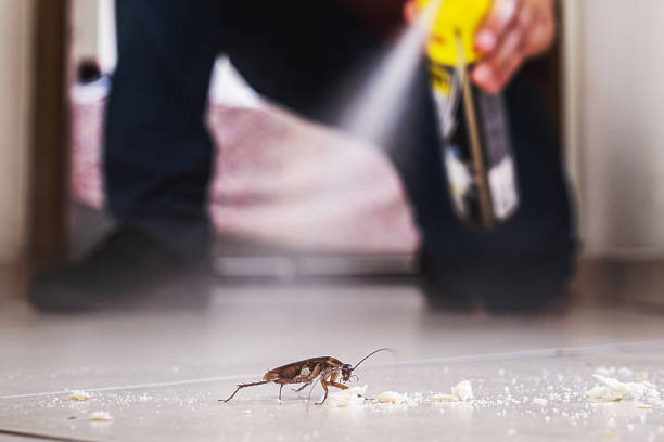 Best Residential Pest Control  in Jefferson, GA